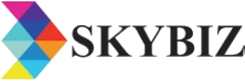 AviationSkybiz